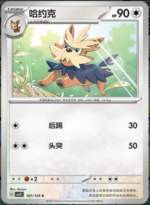 107/129 Herdier哈约克 C