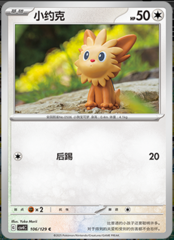 106/129 Lillipup小约克 C