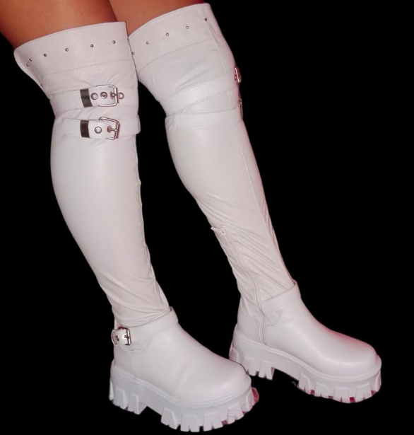 Referencia 3 Hebillas