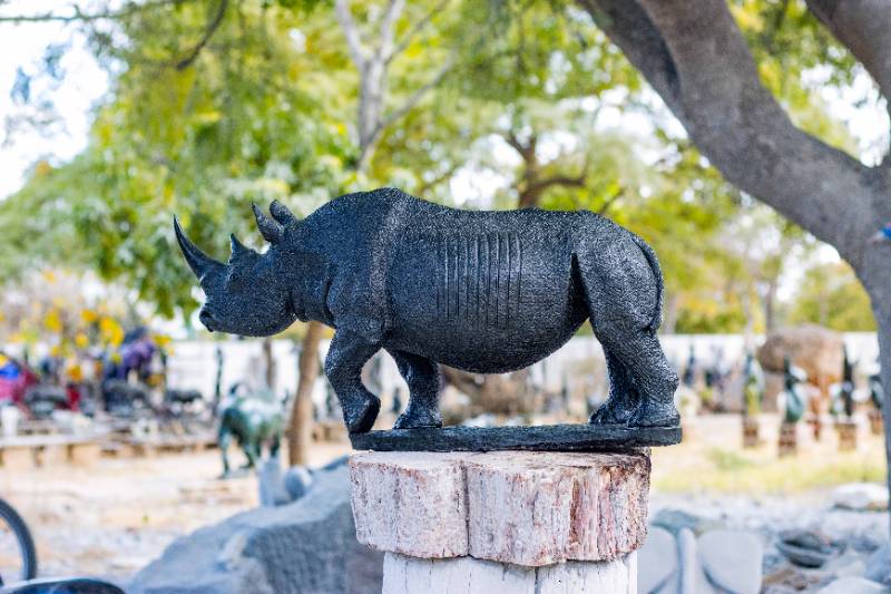 Black Rhino