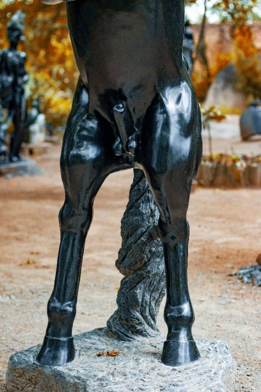 Mighty Stallion