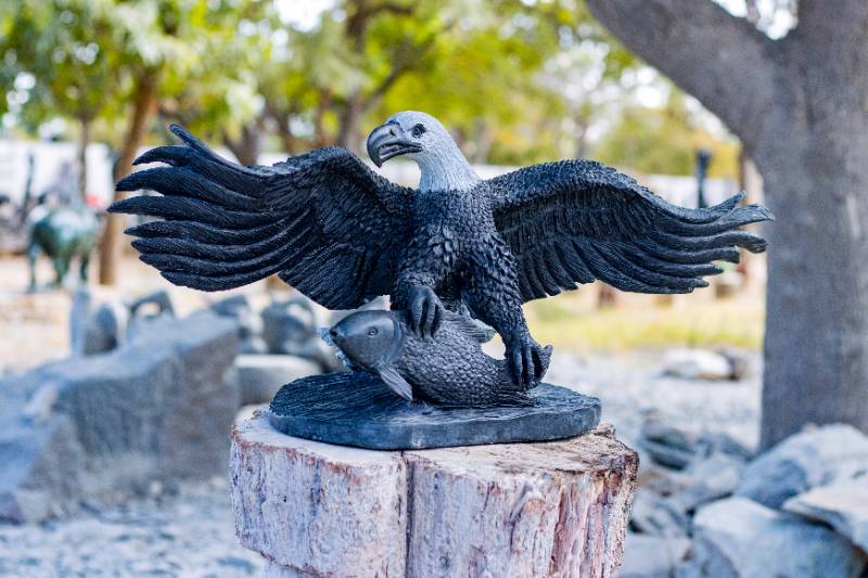 Fish Eagle