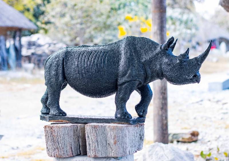 Black Rhino