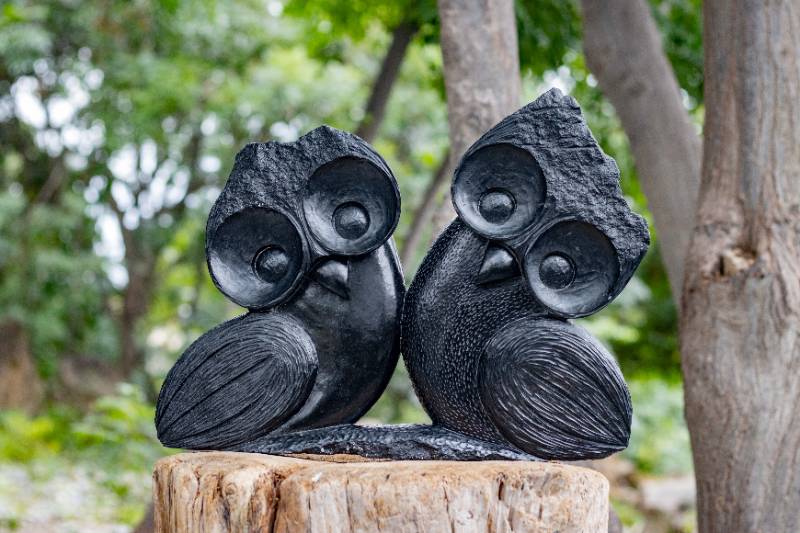 Owl Lovers