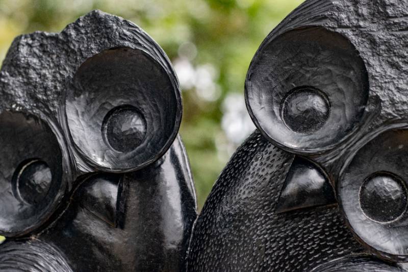 Owl Lovers
