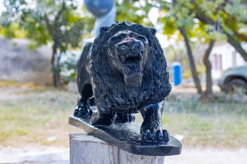 King of the Jungle