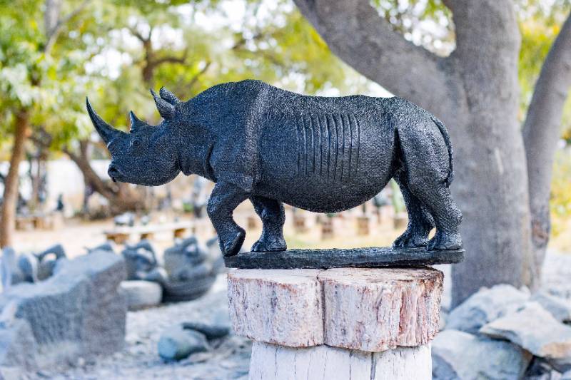 Black Rhino