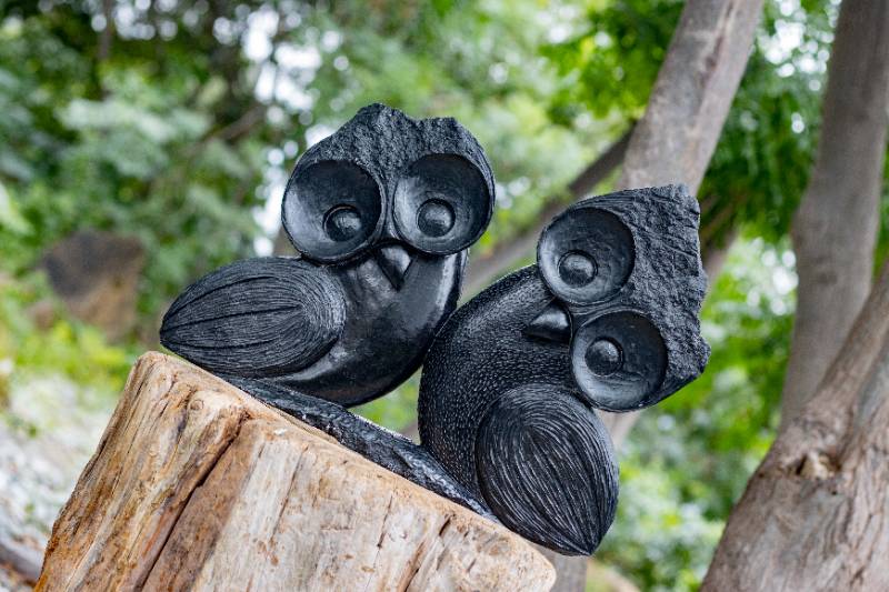 Owl Lovers