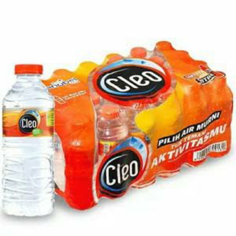 CLEO AIR MINERAL PET 24X220ML