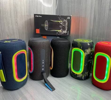 JBL P20 Pro Speaker