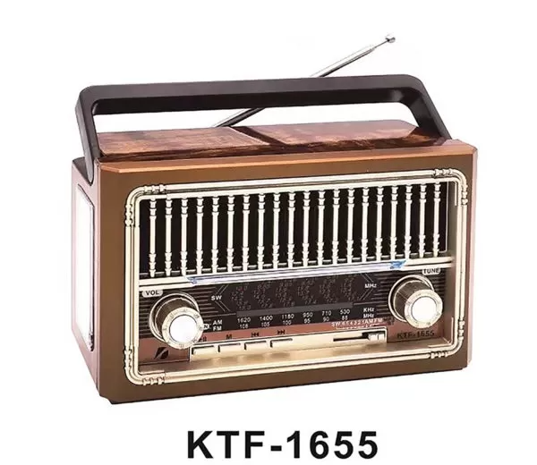Kts 1655 Portable Radio Speaker