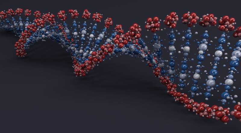 DNA Methylation Pathway Profiling