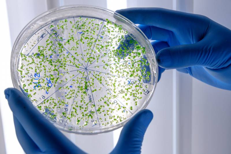 GUT Microbiome Test