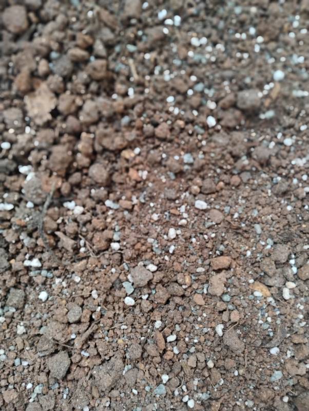 Poting mix for Indoor plant