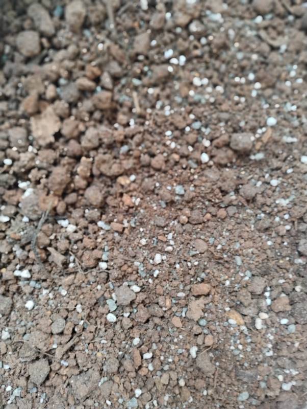 Poting mix for Indoor plant