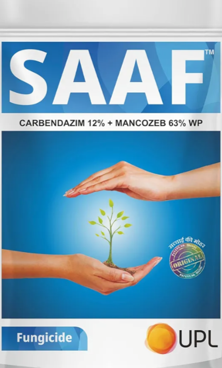 Saaf