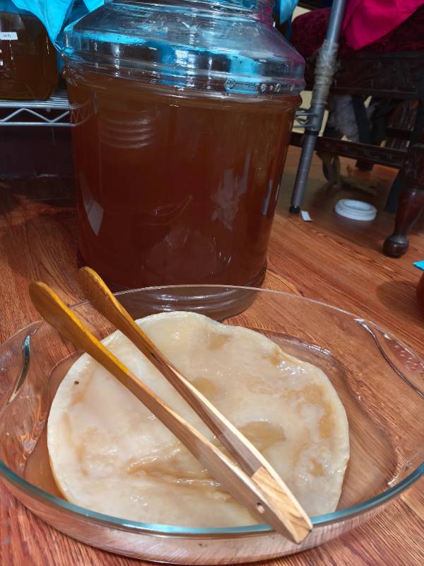 Scoby