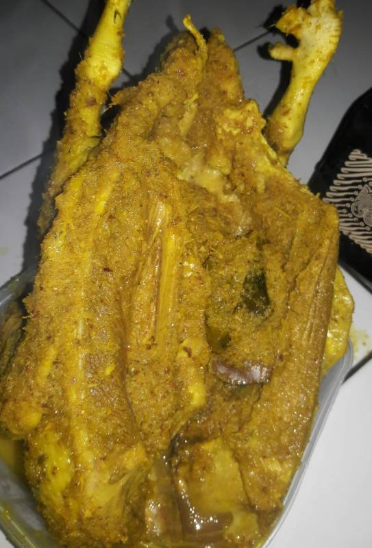 Bakakak Entog / Bebek