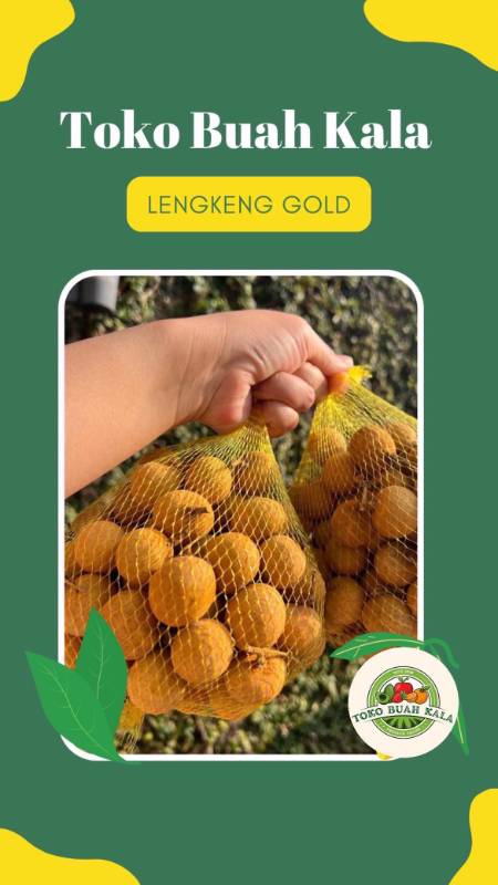 Lengkeng GOLD (BIG LENGKENG)