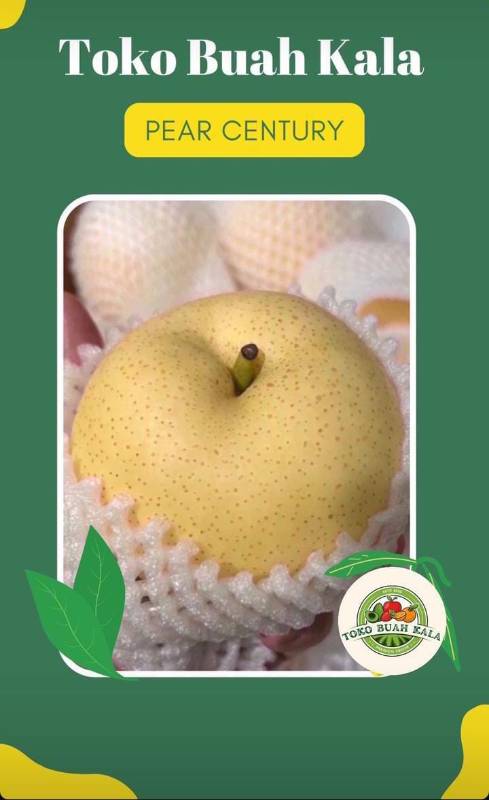 Pear Century