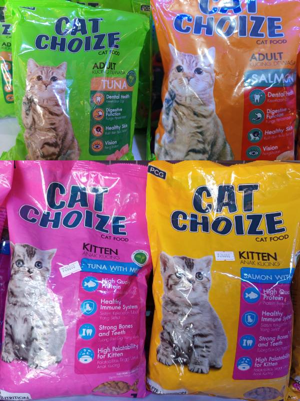 Chatchoize Kitten 26.000