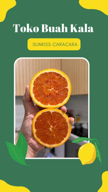 Sunkiss Caracara