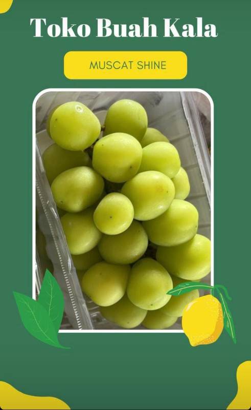 Anggur Muscat 50rb
