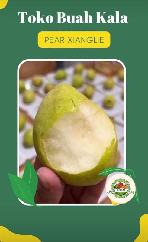 Pear Xianglie