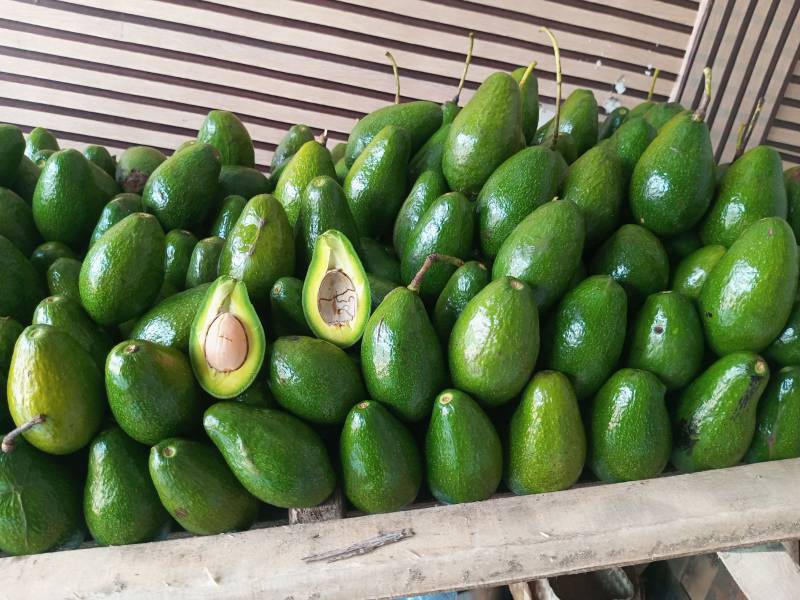 Alpukat Mentega Mateng