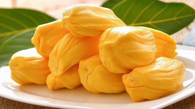 Nangka Manis