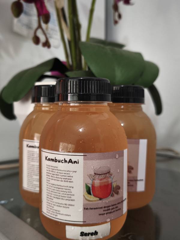 Teh Kombucha