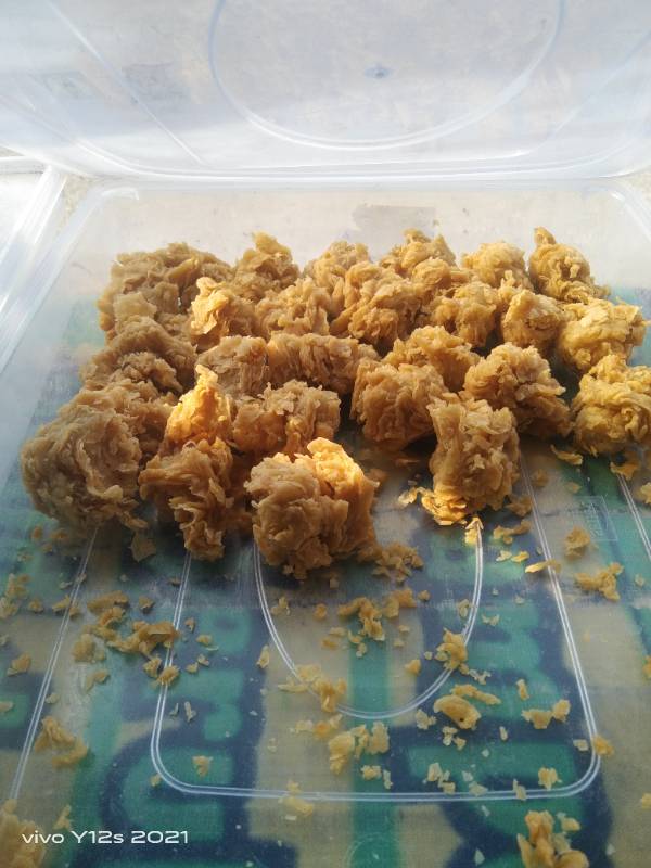 Chicken Mini