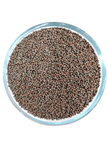 Rai (Mustard Seeds)