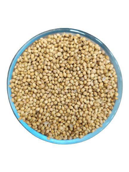 Dhaniya (Coriander Seed)