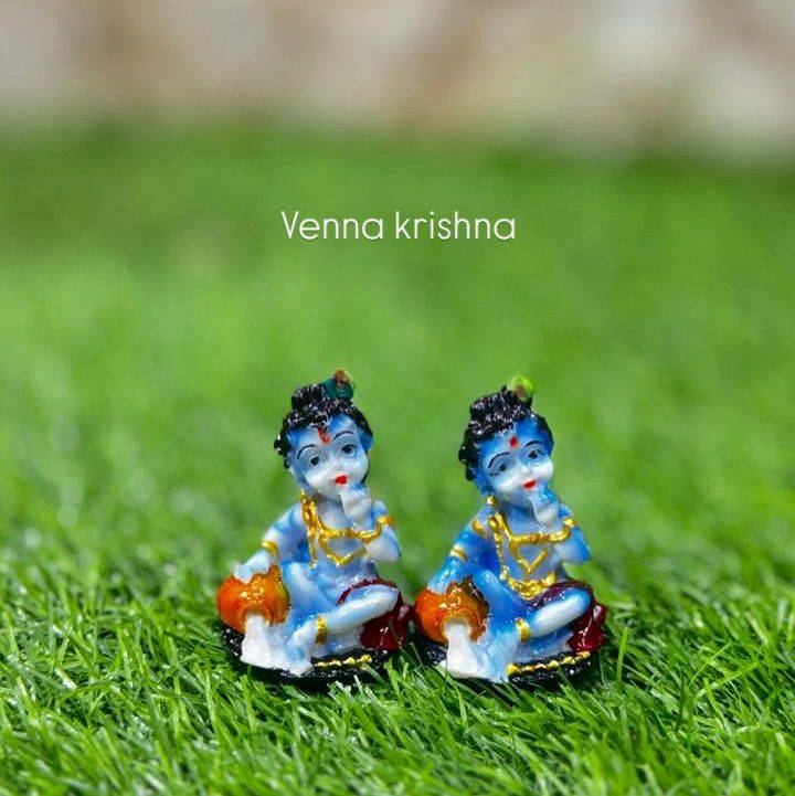 Venna Krishna Small