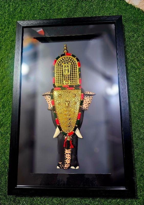 Elephant Frames