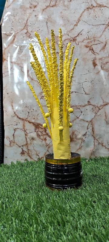 Nelpara Medium
