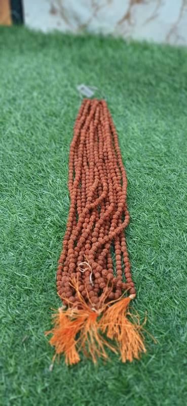 Rudhraksha