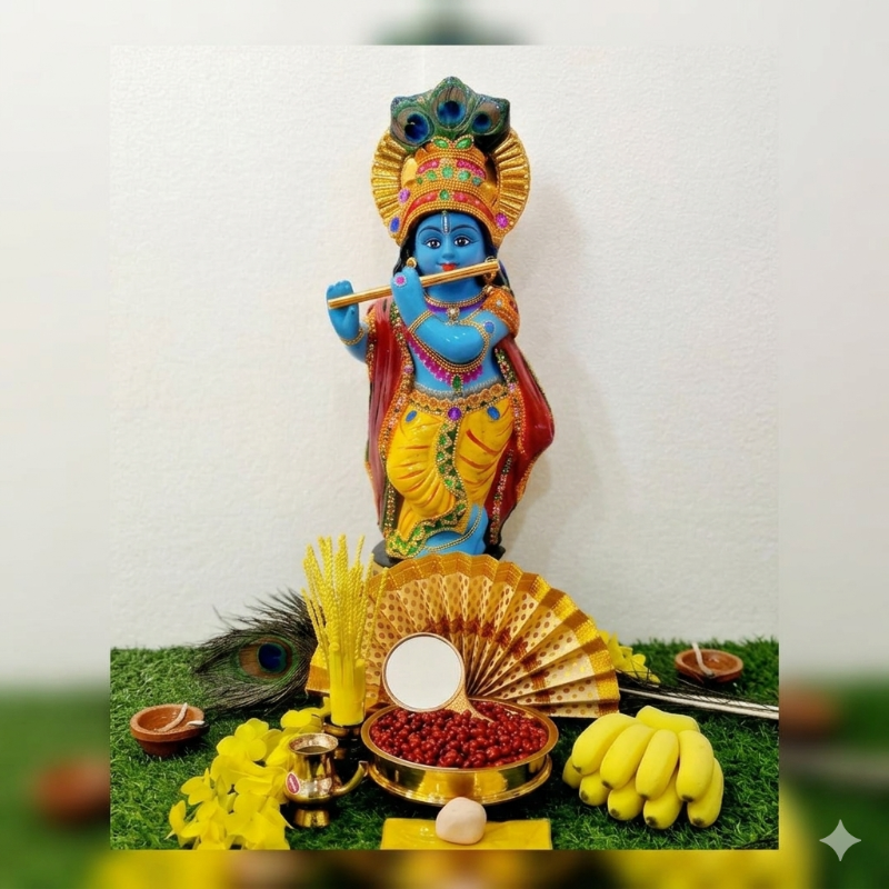 1.5 feet  KG Vishu Kani