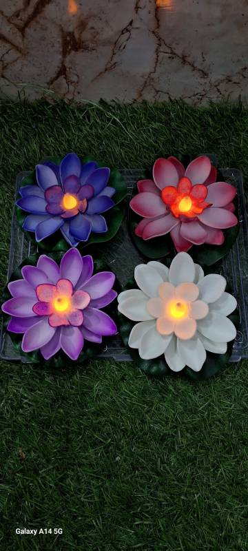 Lighting Lotus