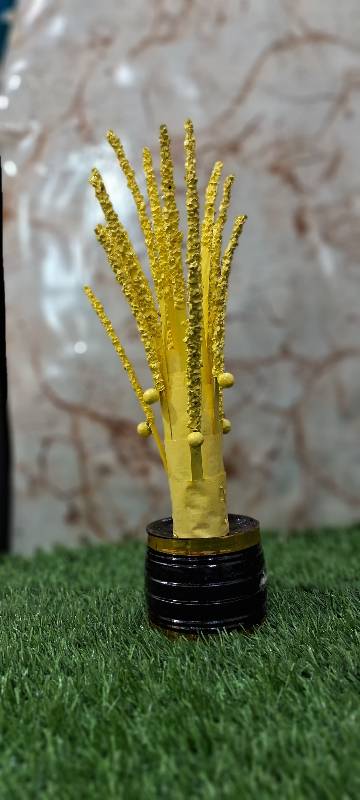 Nelpara Medium