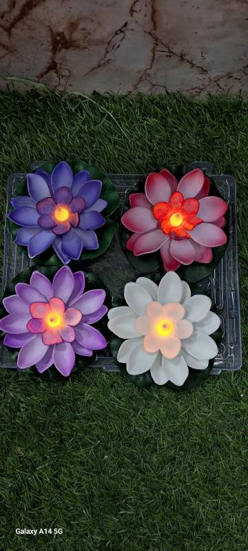 Lighting Lotus