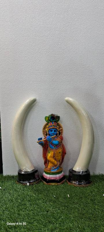 Small Krishna Combo