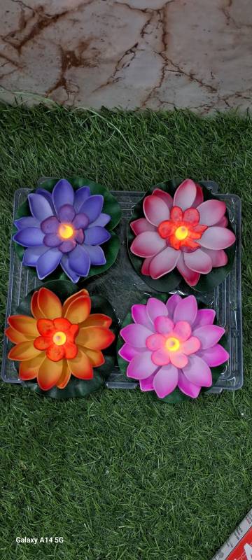 Lighting Lotus