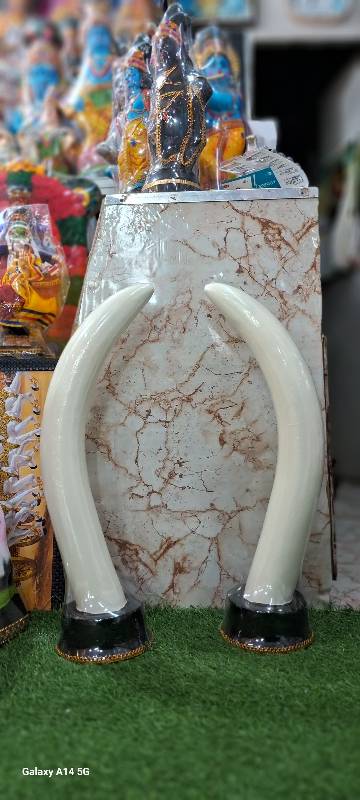 Elephant Tusk 23 Inch