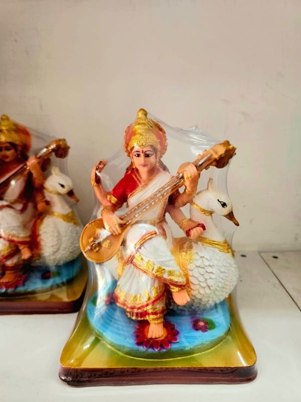 Saraswathy Color