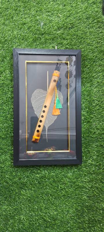 Mayilpeeli Alila Frame