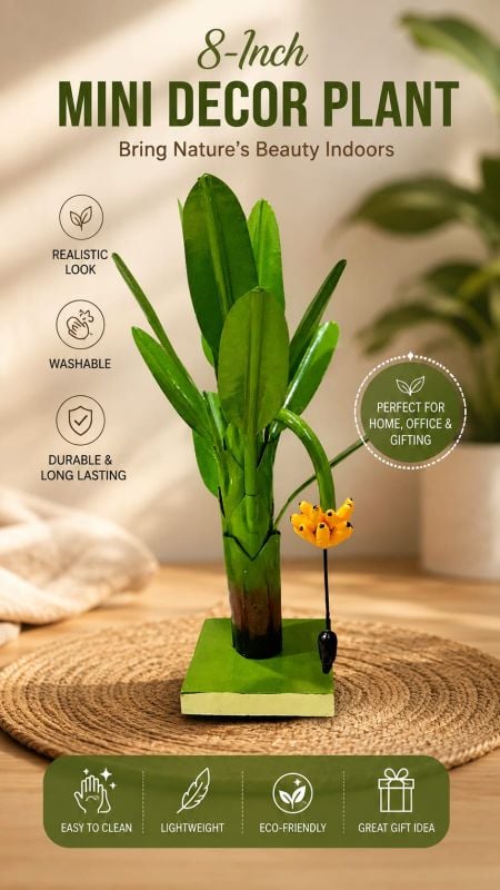 Banana Tree 8 Inch