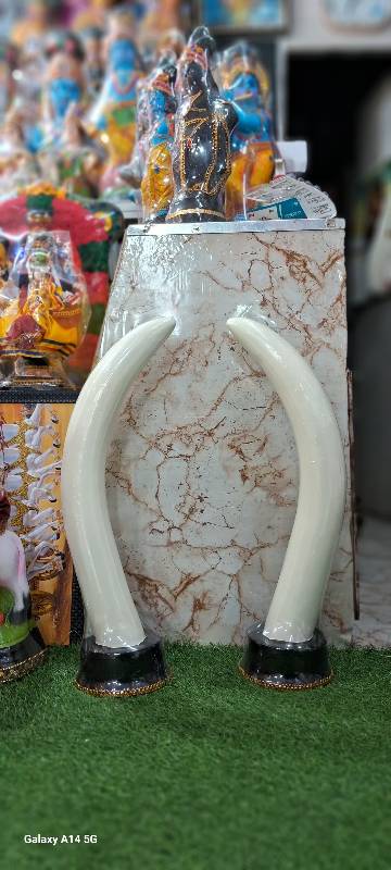 Elephant Tusk 23 Inch