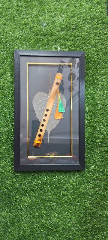 Mayilpeeli Alila Frame